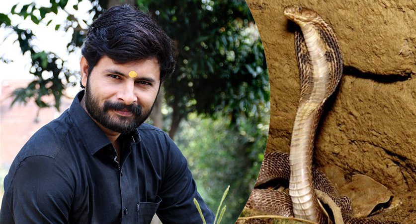 The Amazing Story of Murliwale Hausla, the Snake Catcher