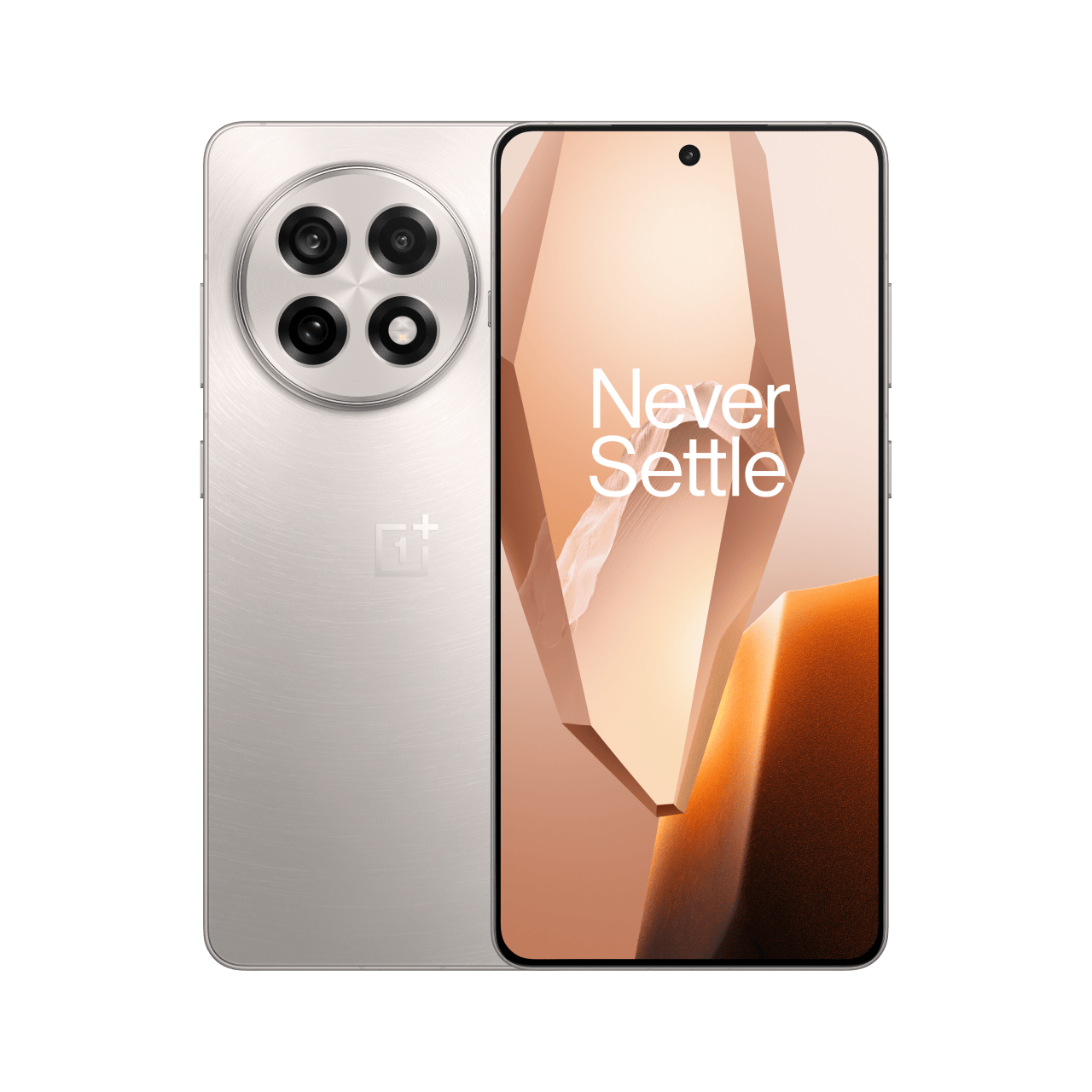 OnePlus Smartphone:2025 