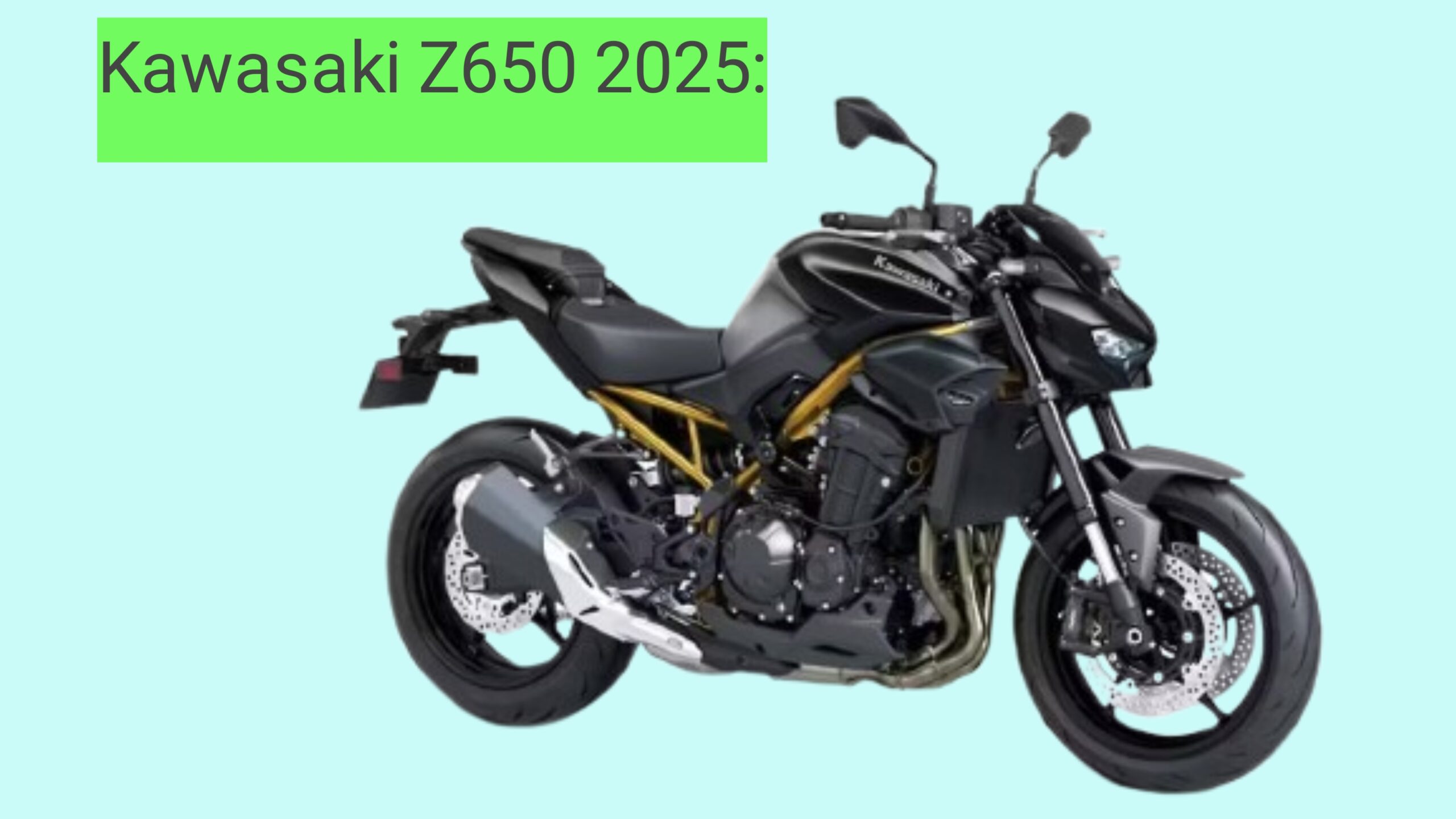Kawasaki Z650 2025: 